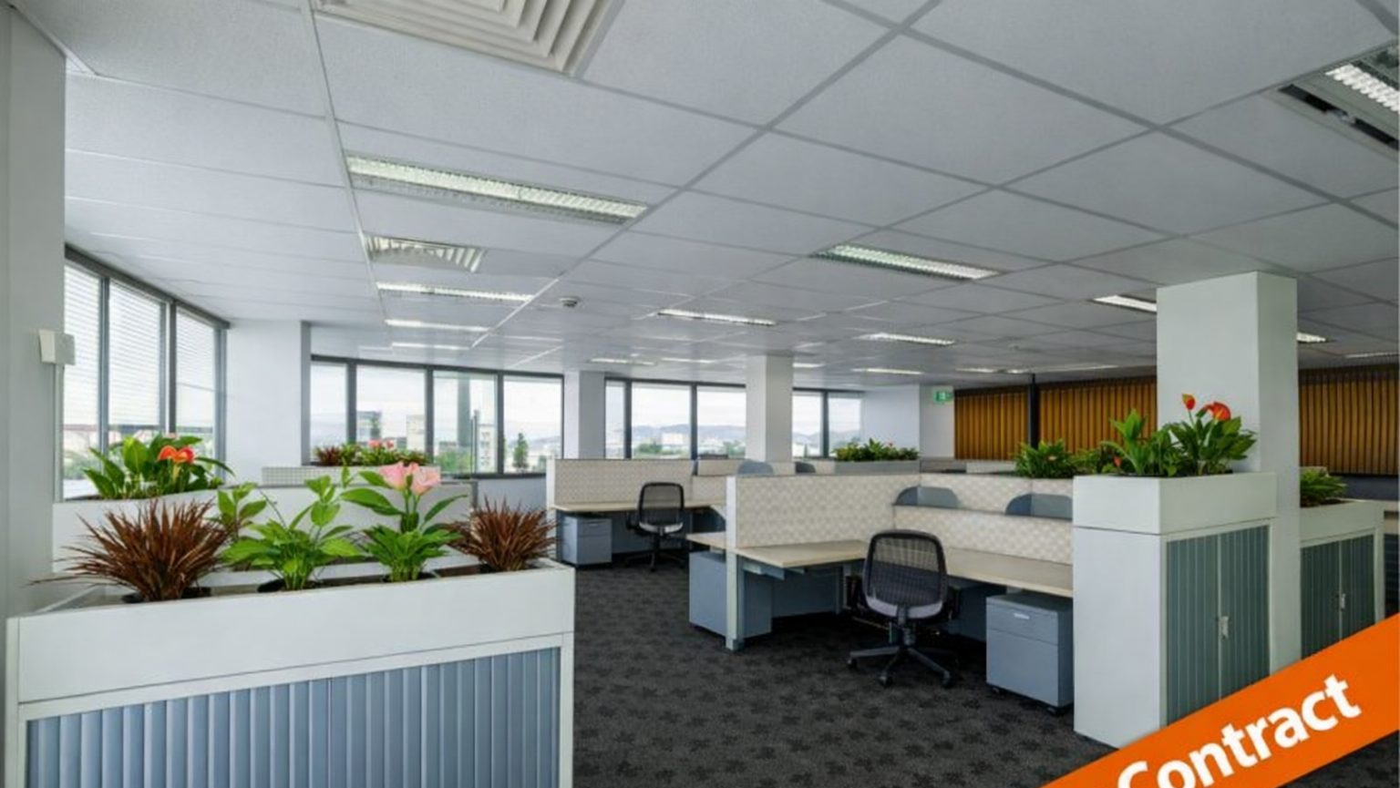 Suite 901, 303 Coronation Drive, Milton